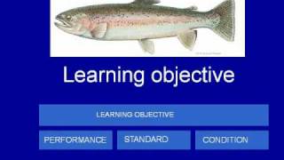 Episode 34: Learning objectives and fish