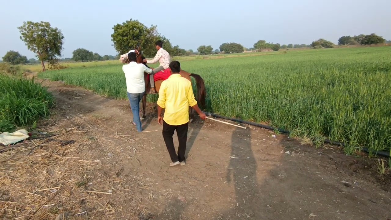 Meraj pathan horse rider