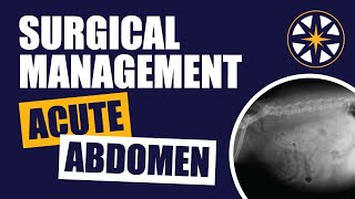 Surgical Management of the Acute Abdomen (Veterinary)