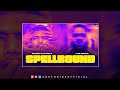 Spellbound  concert hall  dsp edition  dhanda nyoliwala  xvir grewal  latest punjabi songs