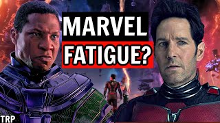 ARE PEOPLE TIRED? 🙈 | Ant-Man & The Wasp : Quantumania Movie Review & Analysis |