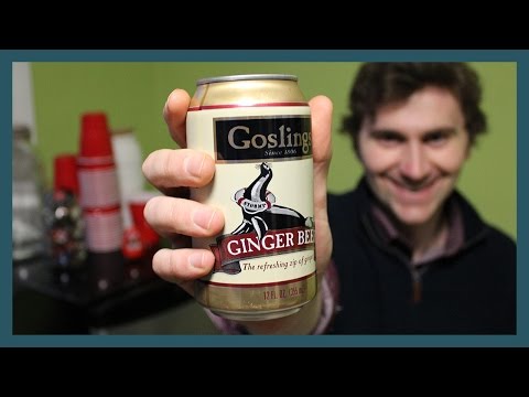 gosling's-ginger-beer-//-brew-reviewz