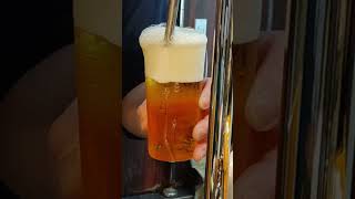 【麦酒大学】ゲストビール「キリン一番搾り」二度注ぎ動画【#beer 】