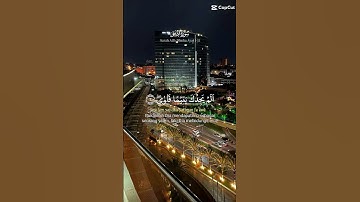 #القران_الكريم #سورة_الضحى #الابذكر_الله_تطمئن_القلوب 💚