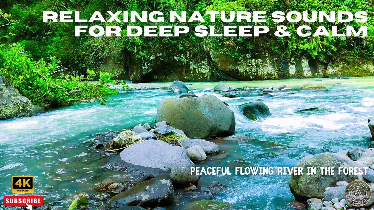 Peaceful Flowing River in the Forest — Relaxing Nature Sounds for Deep ...