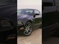 2013 Ford Mustang GT 5.0 V8 418 PS #shorts #short #asmr #trending #viral #ford #mustang #cars #car