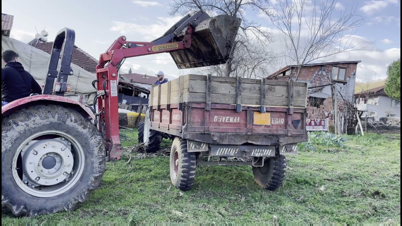 Massey Ferguson 2625 ile bir başka gübre yükleme videosu