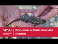 SDSU Minds in Motion | City Lizards, AI Music, Grounded Airplanes