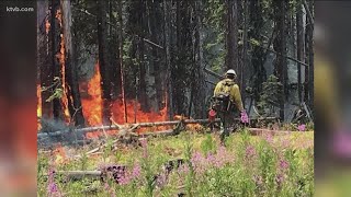 US Forest Service says summer storms, flash floods could pose potential threat to wildfires