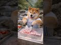 【職人技】柴犬が作る「いちご鉄板アイス」がプロ級すぎる件🍓🔪🐶 #shorts
