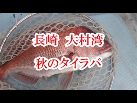 16 10 長崎大村湾 秋のタイラバ Youtube