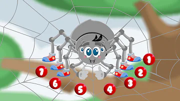 Como se chama as pernas da aranha?