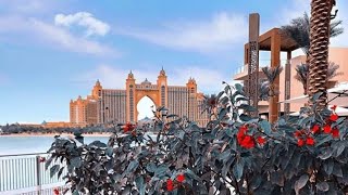 Dubai vacation travel guide | expedia ...