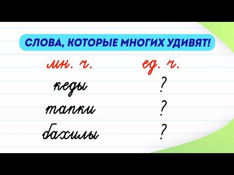 Слова, которые многих удивят! Как они изменяются в форме единственного числа? | Русский язык