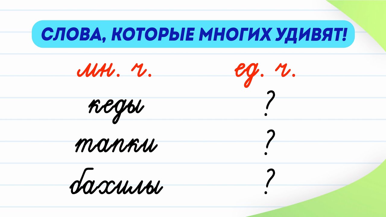 Слова, которые многих удивят! Как они изменяются в форме единственного ...