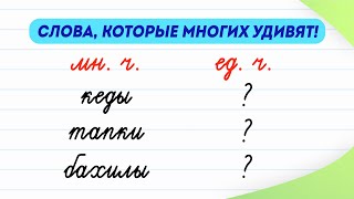 Слова, которые многих удивят! Как они изменяются в форме единственного числа? | Русский язык