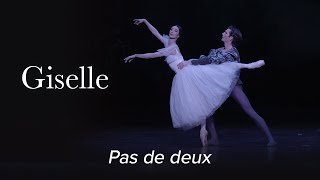 Pas de deux – GISELLE Adam – Polish National Ballet