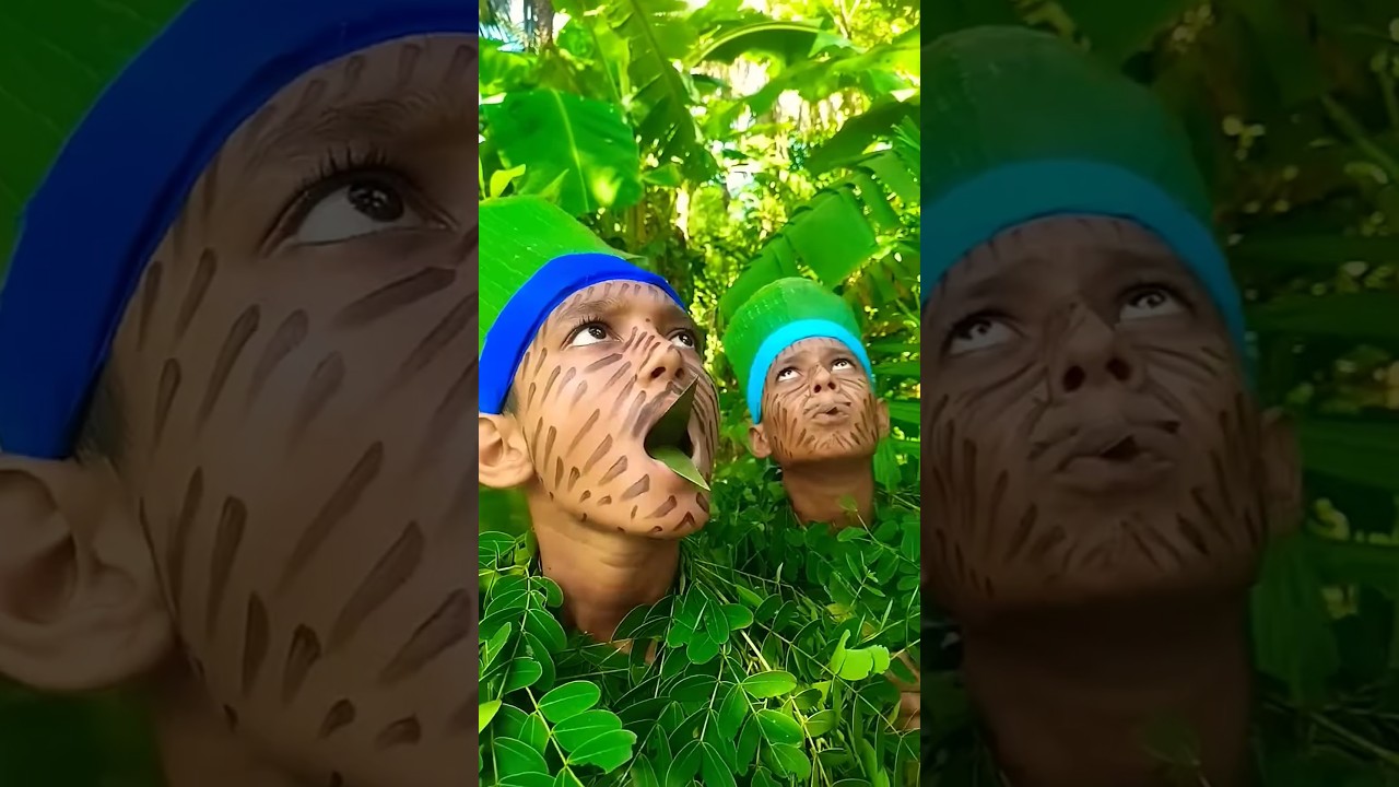 Bird sounds"🍀🐦‍⬛🐦