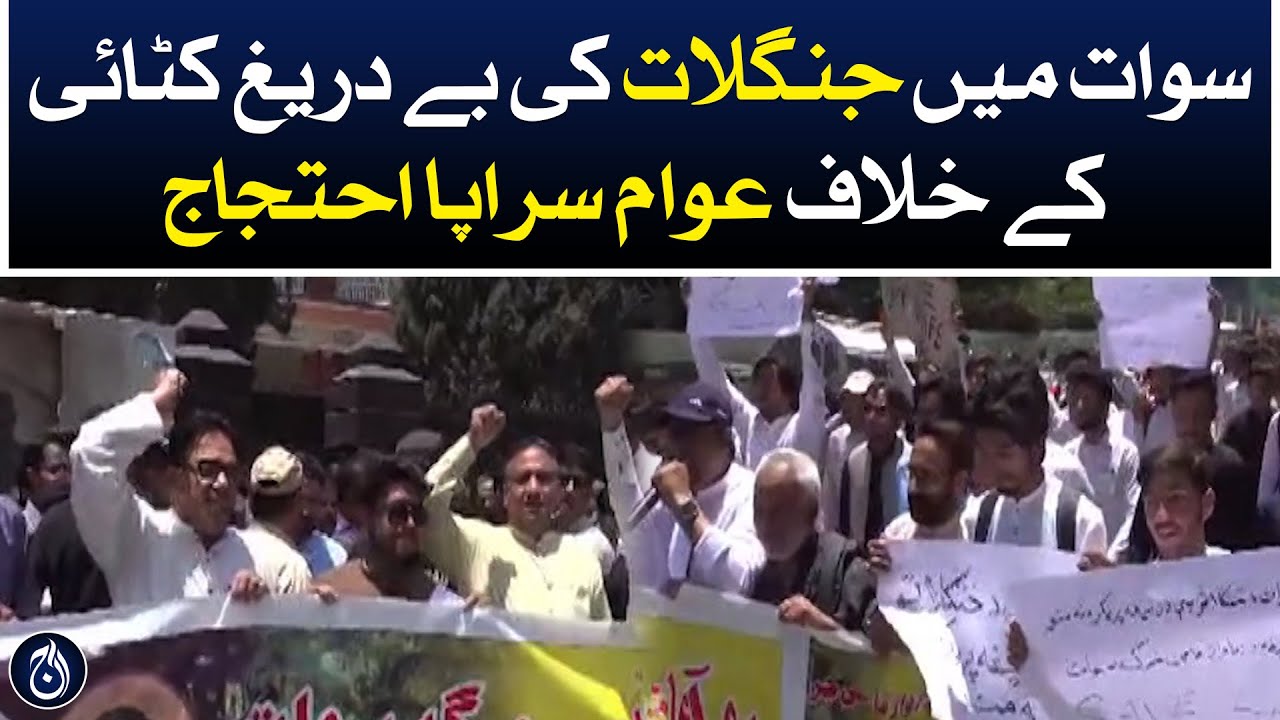 People Are Protesting Against The Indiscriminate Cutting Of Forests In People Are Protesting Against The Indiscriminate Cutting Of Forests In
