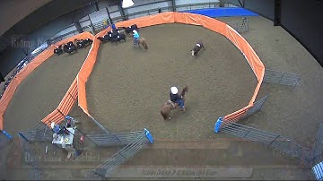 Big Sky Ranch Sorting Saddle Series #2 - #6 H/C - Round #1 - Ride #24