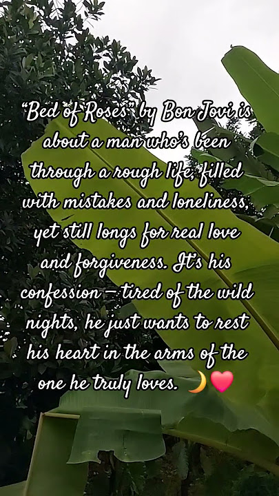 Bon Jovi - Bed Of Roses