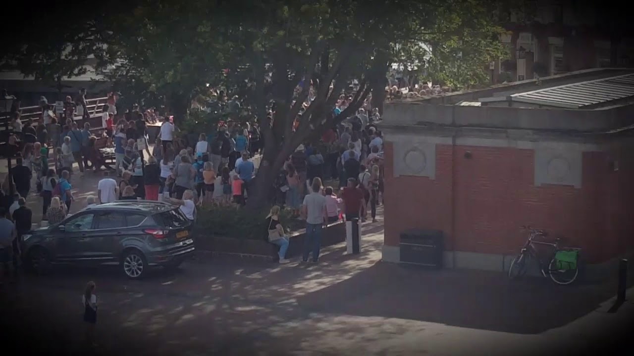 Absolutely Cultured Domino Rally