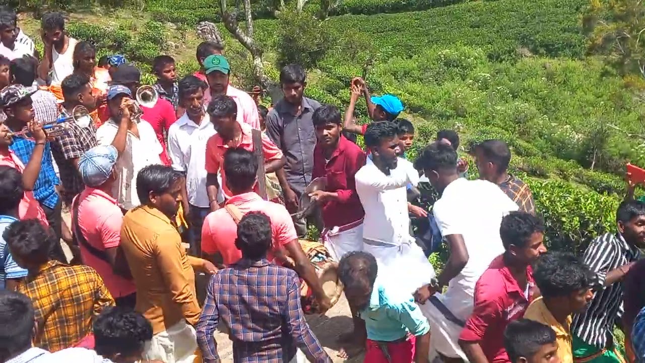 மடூல்சீமை அமுனுதோவ ஸ்ரீ வனத்து காளி அம்மன் கோவில்  திருவிழா... Apsara Band Madulsima