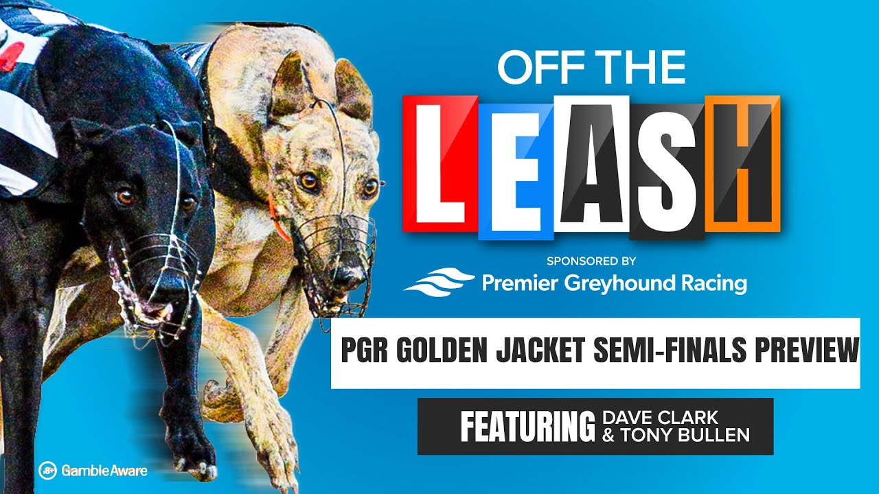 PGR Golden Jacket Semi-Finals Preview | Off The Leash | Greyhound Tips | Racing Post