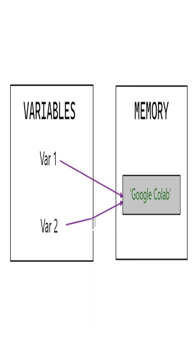 Equality Vs Identity Operator in Python | Difference between 