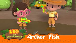 Archer Fish | What's That Shooting At Me A Fish | Leo the Wildlife Ranger Season 2