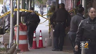Burglars Break Into UWS Apartment, Attack Sleeping Man And Steal His Dog