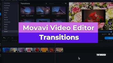 How To Add Transitions - Movavi Video Editor Plus 2020  #26