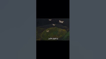 #قرآن #قران_كريم #اكسبلور #اجر_لي_ولك #عبد_الباسط_عبد_الصمد #المنشاوي #المصحف #لايك #تلاوة_خاشعة