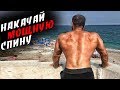 Как НАКАЧАТЬ МОЩНУЮ СПИНУ ?! Супер ПРОГРАММА !