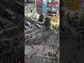 Dünyanın En Kalabalık Yaya Geçidi | Tokyo Shibuya Crossing’de 3 Bin Kişi Aynı Anda Geçiyor
