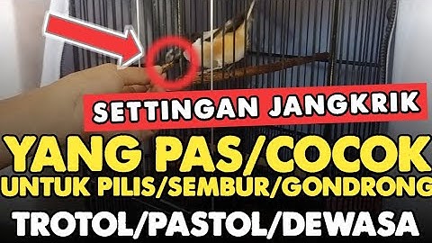 CARA MEMAHAMI SETTINGAN PAS DAN COCOK "UNTUK CENDET" PILIS/SEMBUR/GONDRONG-TROTOL/PASTOL/DEWASA‼️