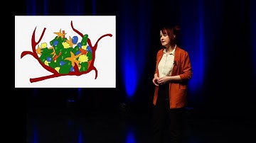 Exploring the brain tumour fingerprint | Theresa Degenhard