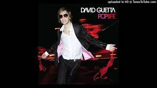 David Guetta - Love Is Gone (Fred Riester & Joachim Garraud Radio Edit Remix Instrumental)