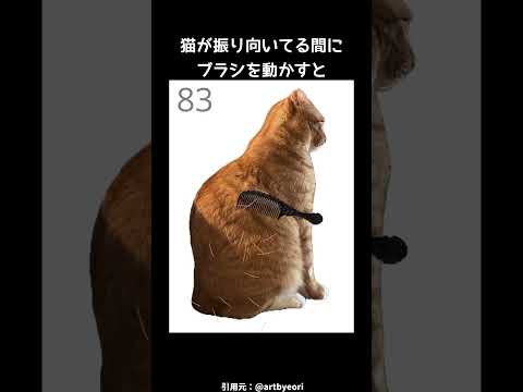 Brush Jjaemu Game Playthrough Shorts - Cat Brush Game ASMR