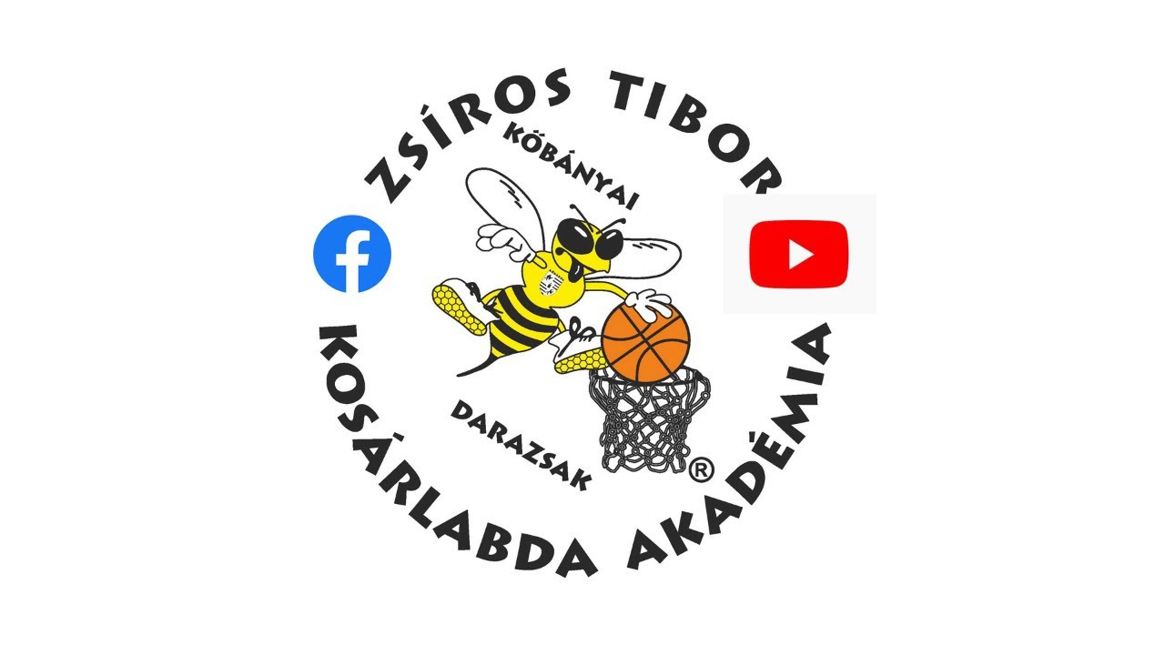 Vasas Amazonok - BEAC Vizslák