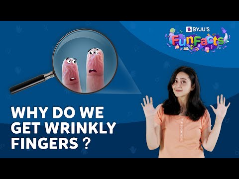 What Causes Wrinkly Fingers? | BYJU'S Fun Facts