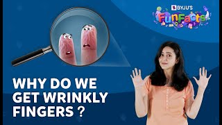 What Causes Wrinkly Fingers? | BYJU