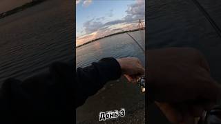 🎣 День 3, річка Дніпро, Київ. Полювання на трофей🐟Спінінг: Favorite Blue Bird Sharp Jig 5-20