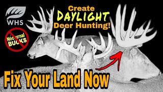 How To Fix Nocturnal Deer Herds