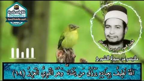 #نوادر_التلاوات  الشيخ محمود البجيرمي رحمه الله تعالى - سورة الشورى - من الآية 19 إلى الآية 23