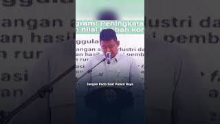 Bobby Nasution Jaga Harga Cabai, Lindungi Petani Sumut