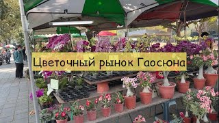 Цветочные рынки Тайваня | Kaohsiung Flower Market САМЫЙ БОЛЬШОЙ ЦВЕТОЧНЫЙ РЫНОК в Гаосюне