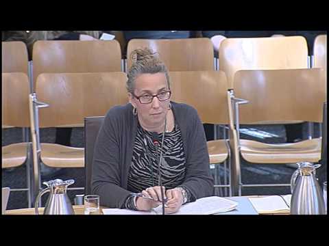 Infrastructure And Capital Investment Committee - Scottish Parliament: 29Th October 2014