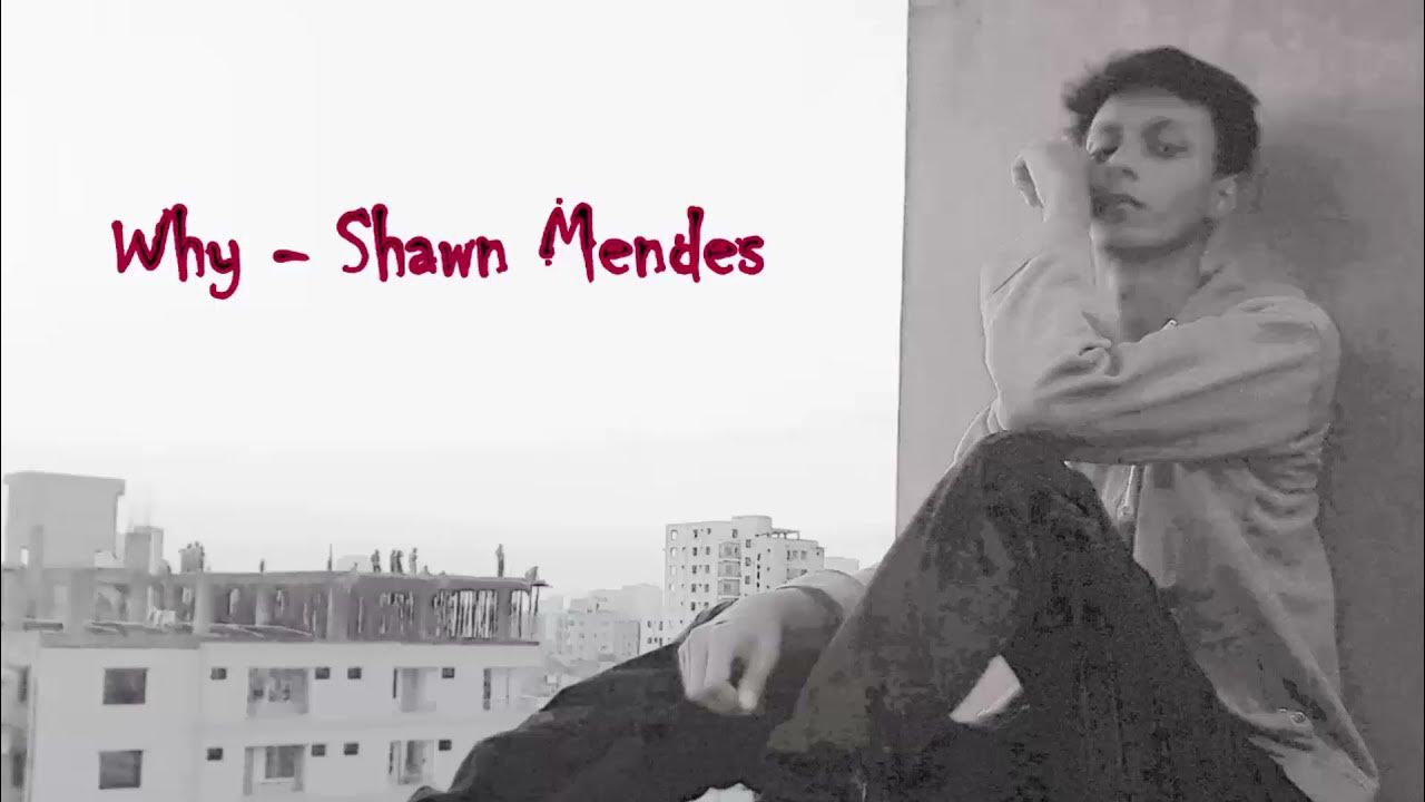 Shawn Mendes Why Cover by Kuntol (Lyric VIdeo) YouTube