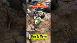 Mua Do Movie Stunt Practice Behind The Scene